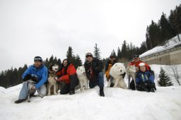 San Bernardino 2011